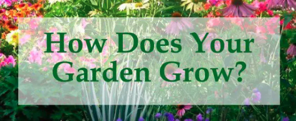 Garden Plan